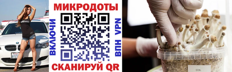 Псилоцибиновые грибы ЛСД  как найти наркотики  Семикаракорск 